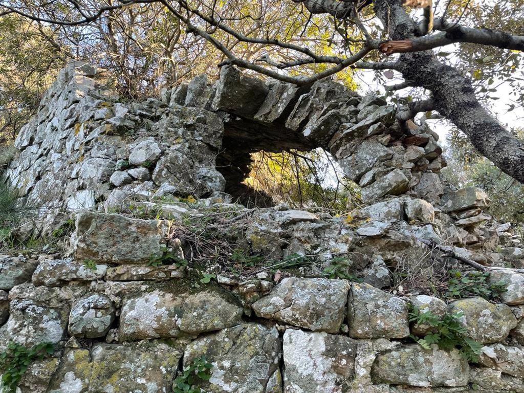 Ferienwohnung Antica Casa Prile Castiglione della Pescaia Exterior foto